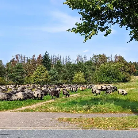 Haus * שנברדינגן